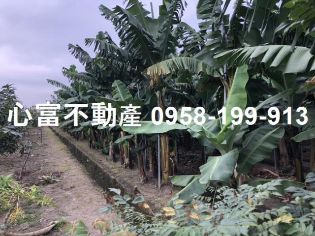 高雄大寮建地-0