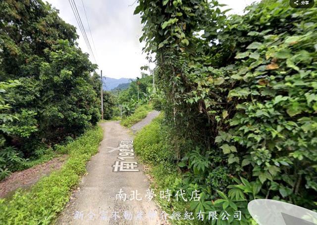 楠西林地-2