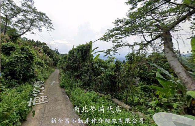 楠西林地-3