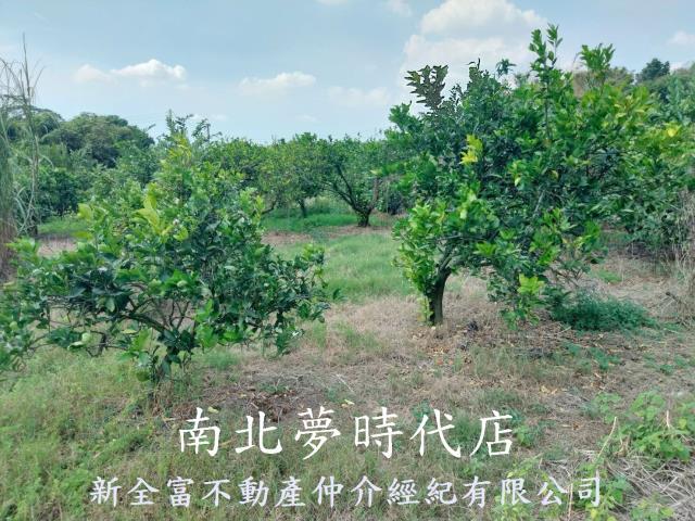 台南農地-7