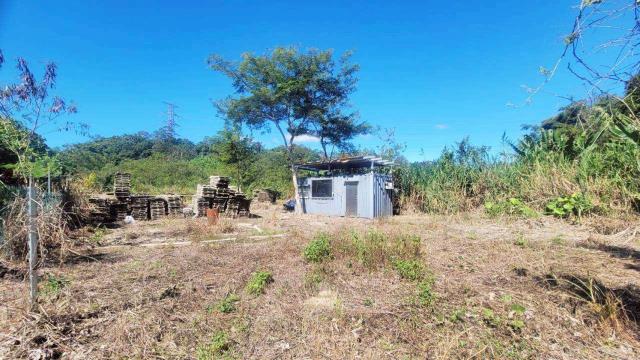 新竹橫山農地-11