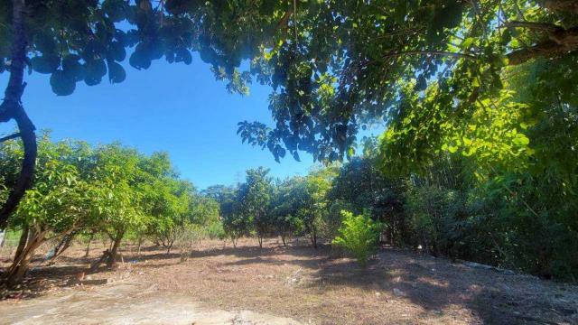 新竹橫山農地-13