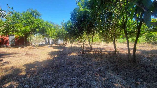 新竹橫山農地-2