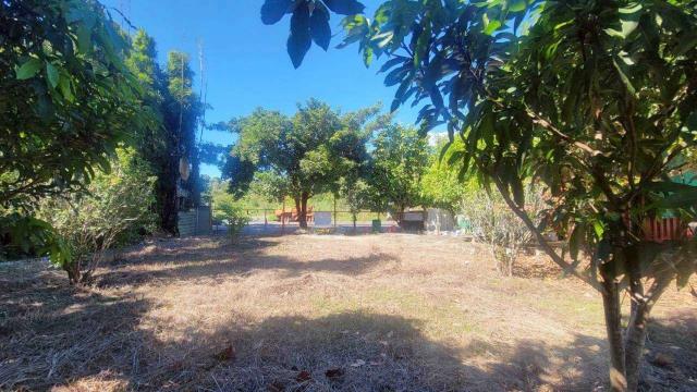 新竹橫山農地-3