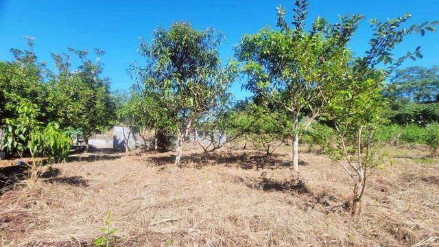 新竹橫山農地-7