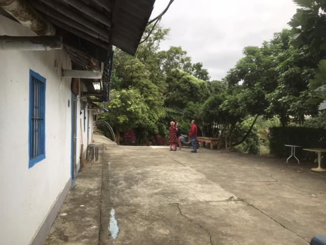 台中太平農地-6