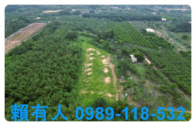 台南農地-1