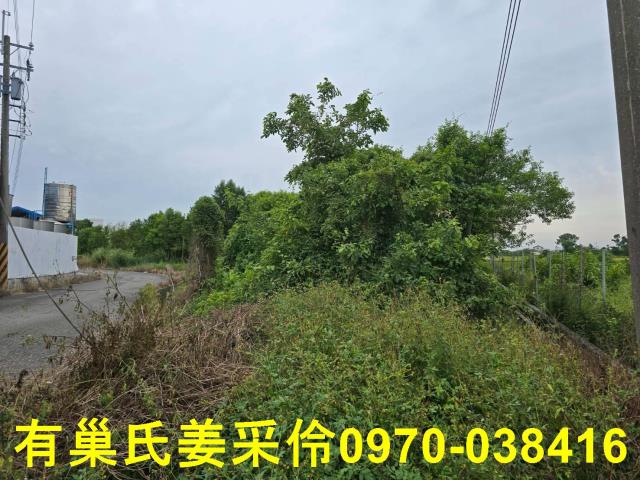 嘉義民雄農地-10