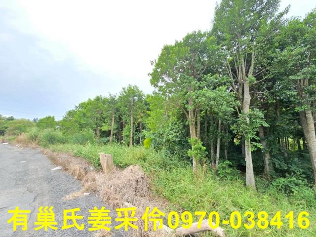 嘉義民雄農地-13