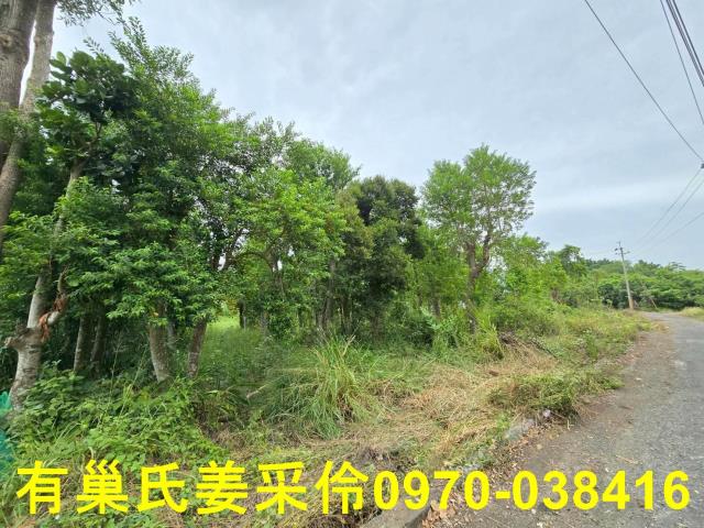 嘉義民雄農地-5