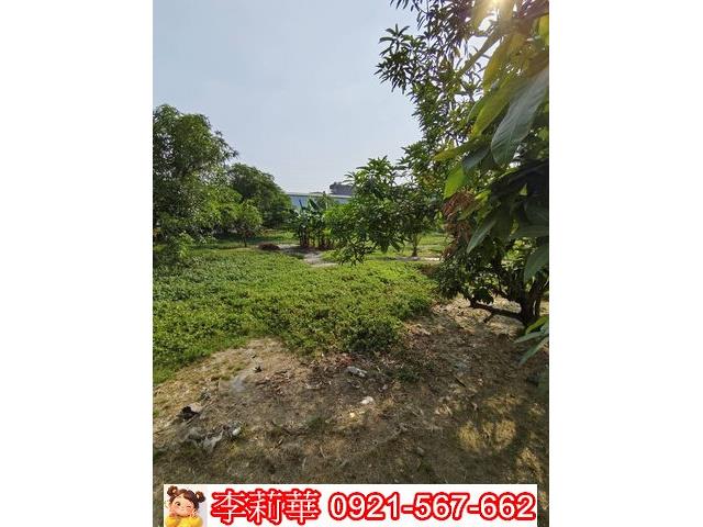 高雄岡山農地-6