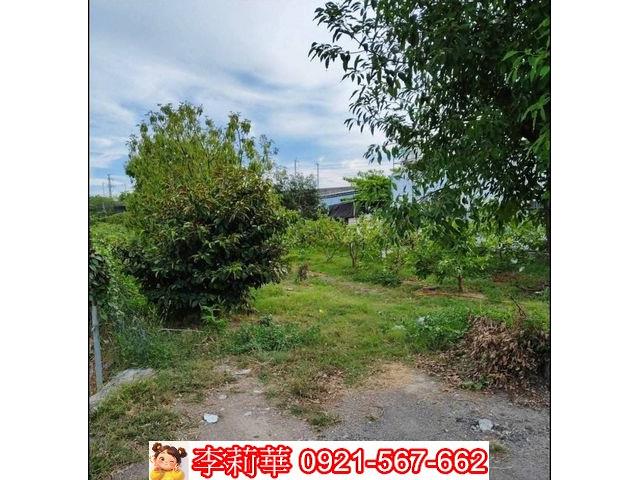 高雄岡山農地-7