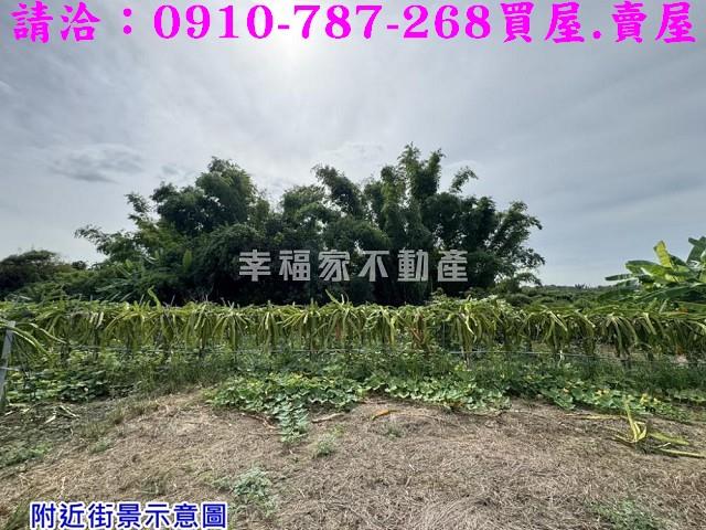 台南農地-5