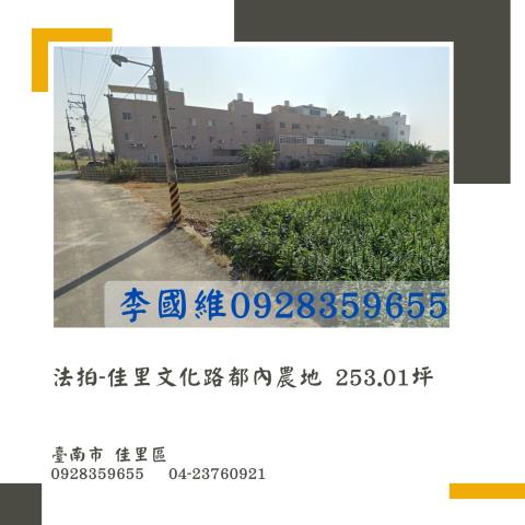 台南佳里農地法拍-0