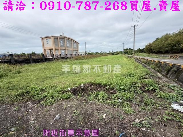 高雄湖內農地-2