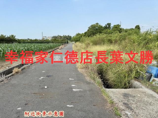 台南新市農地-9