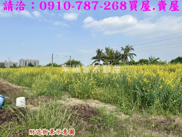 台南新市農地-8