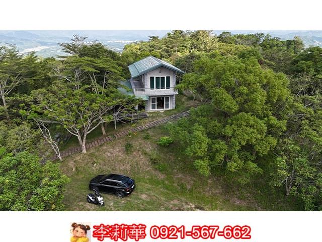 近中興林場超美大面寬柳丁園