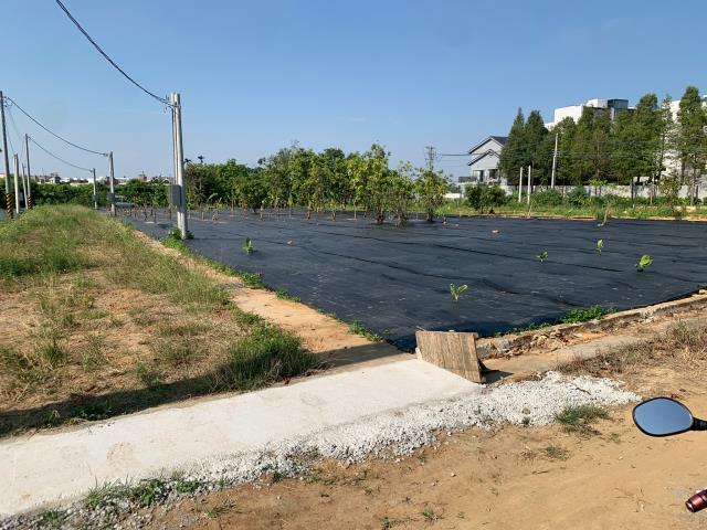 東區農地-6
