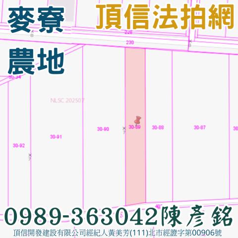 麥寮農地法拍-3