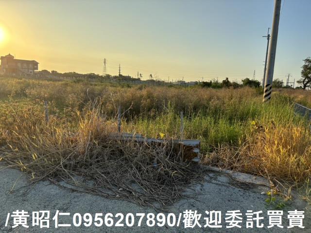 專約台江大道雙面路稀有大面寬漂亮方正農地