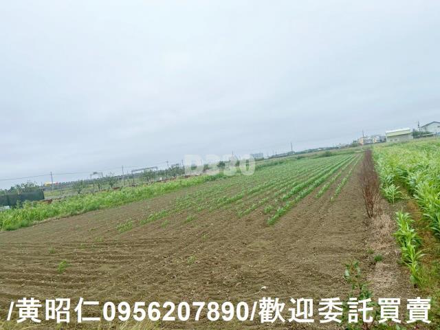 台南農地-11