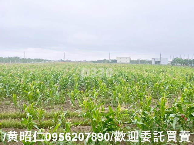 台南農地-5
