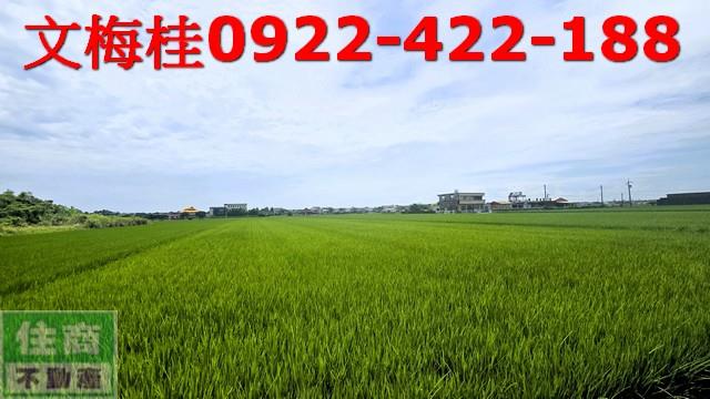 宜蘭縣頭城鎮新金面段農地出售