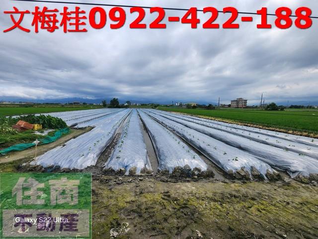 宜蘭壯圍農地-0