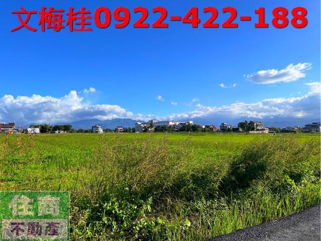 宜蘭宜蘭市農地-0