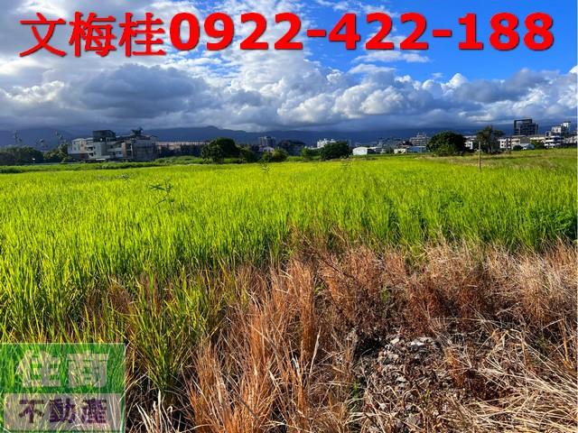 宜蘭宜蘭市農地-5