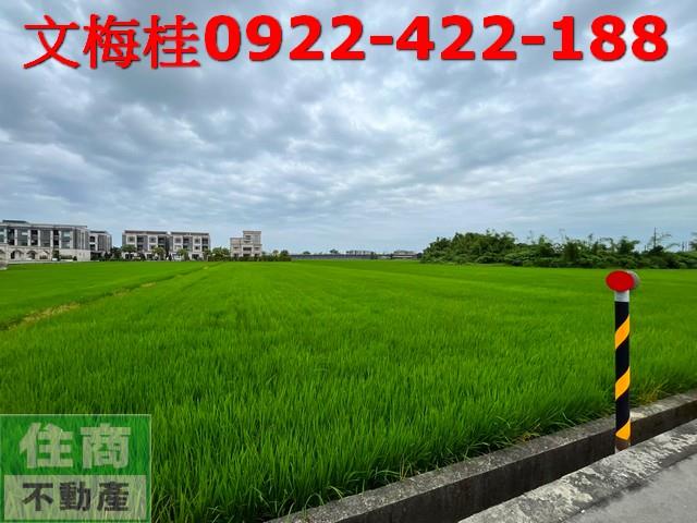 宜蘭宜蘭市農地-1