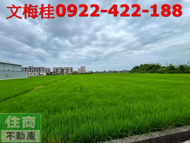 宜蘭宜蘭市農地-3