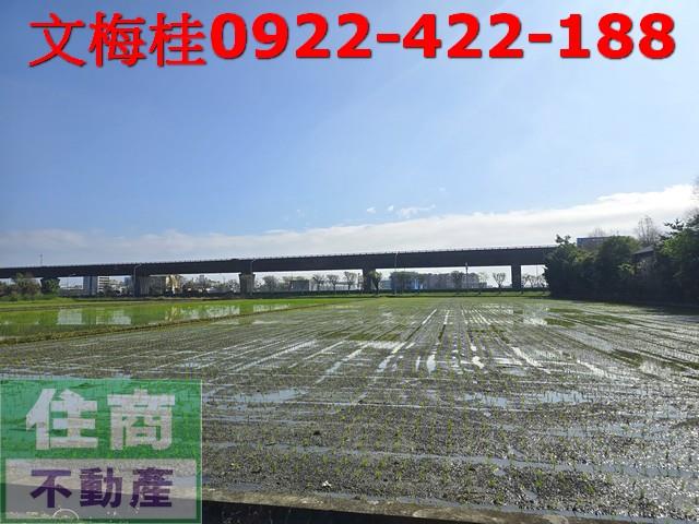 宜蘭宜蘭市農地-0