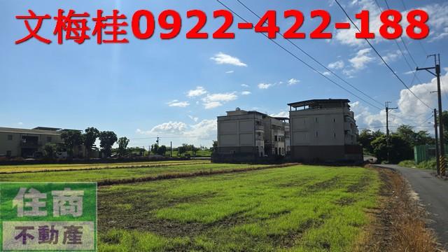 宜蘭宜蘭市農地-0