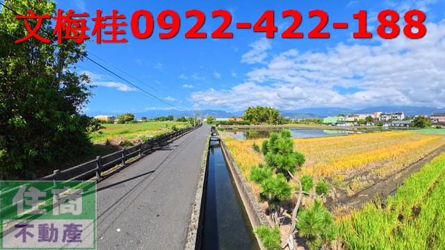 宜蘭宜蘭市農地-5