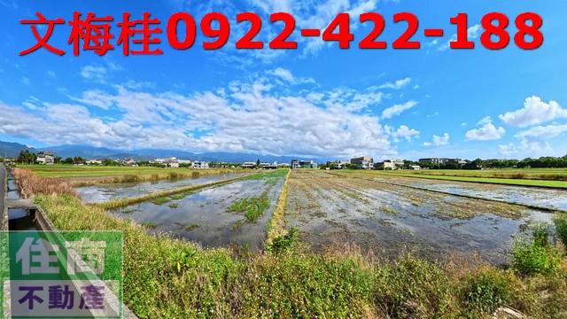 宜蘭宜蘭市農地-2