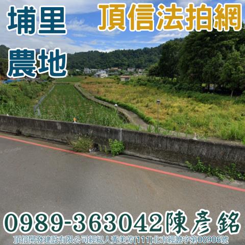 埔里農地法拍-0