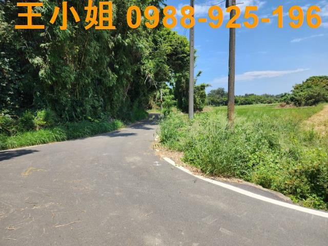 新屋近西濱公路美農地