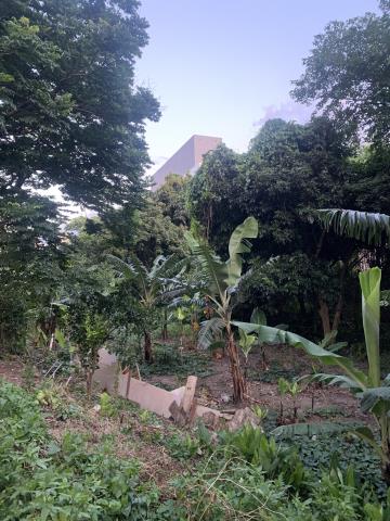 正林口工業區買地送廠房工業地廠房買賣租賃