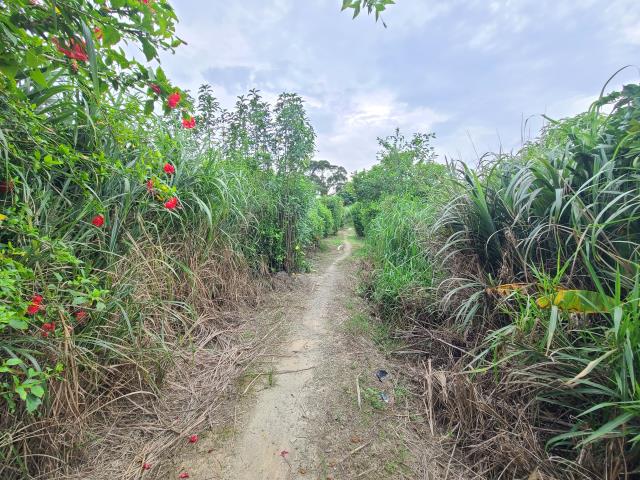 龍潭高原交流道旁一般農