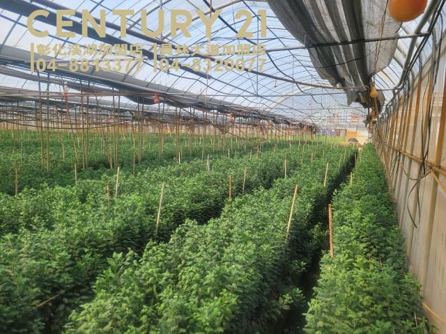 彰化溪湖埔鹽埤頭二林秀水福興建地工業用地田地農地店面透天別墅