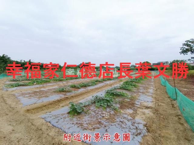 台南官田農地-1