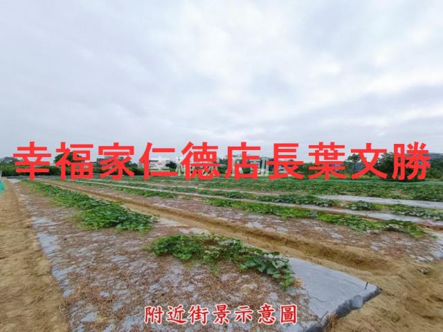 台南官田農地-6