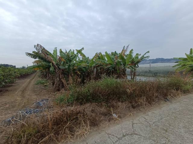 5168信義台灣幸福家永慶太平洋台慶台南好房在住商591樂屋