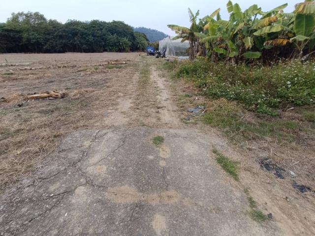 台南玉井農地-7