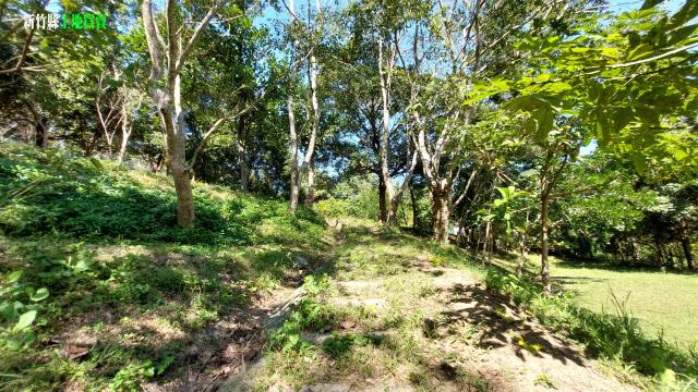 新竹關西農地-7