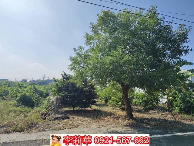 高雄岡山農地-5