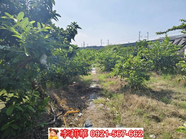高雄岡山農地-6