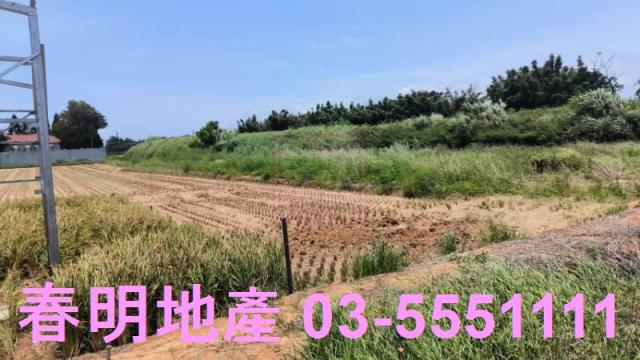 桃園新屋農地-1